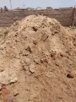 Plastering Sand for Sale - Accra - 1