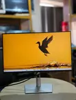 Dell P2425H 24" Full HD 100Hz IPS Monitor - 1