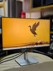Dell P2425H 24" Full HD 100Hz IPS Monitor - 4
