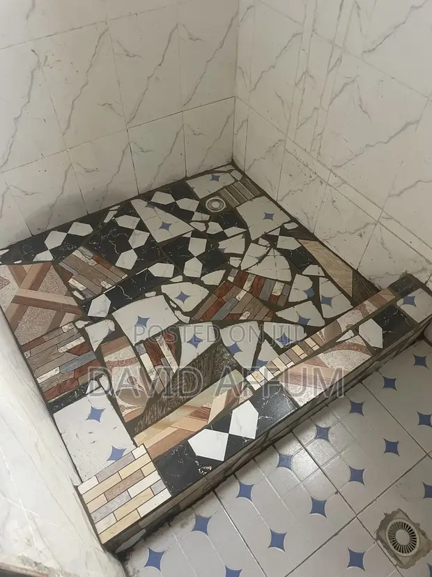 David's Construction: Tiles, Spraying, Block Laying - 1