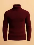 Turtle Neck Bodycon - 3