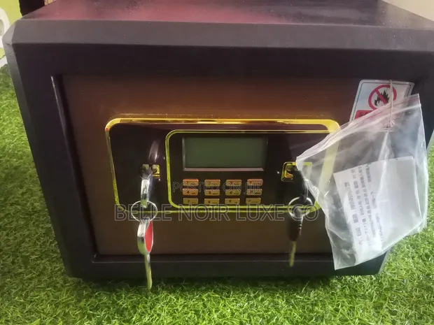 Vaultex 2 Keys Biometric Fireproof Safe Lock - 1
