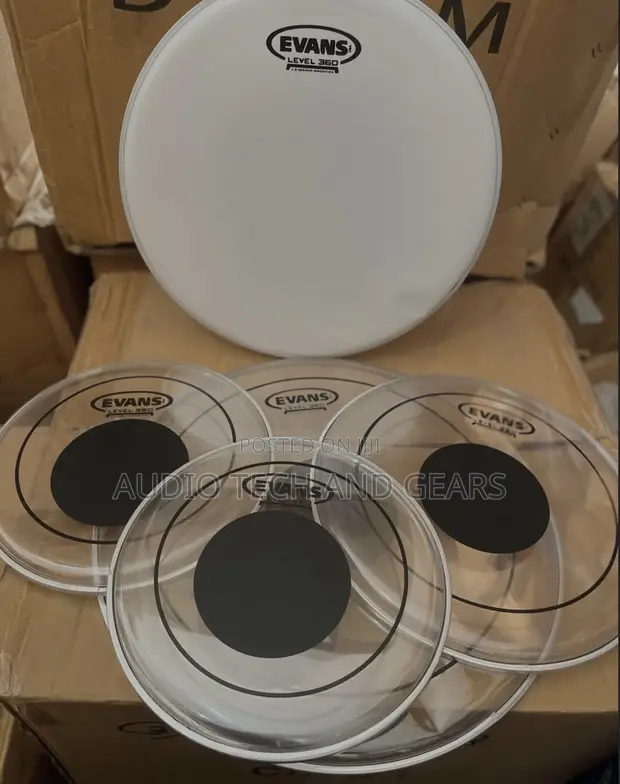 Evans 5-Piece Drum Set Vellum - 1