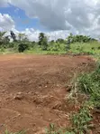 90x80 ft Land for Sale in Sokoban Afrancho - 3