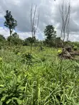 100x100ft Land for Sale at Kwanhoma Bedaase - 2