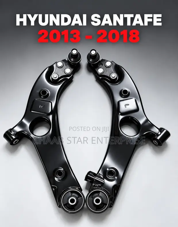 Hyundai Santa Fe Lower Arm Pair (2013-2018) - 1