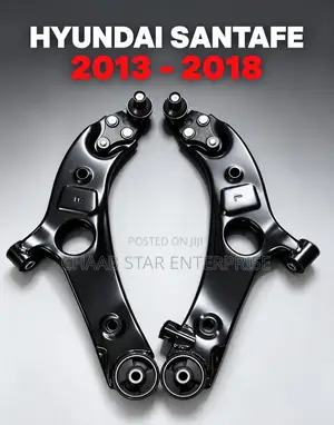 Hyundai Santa Fe Lower Arm Pair (2013-2018)