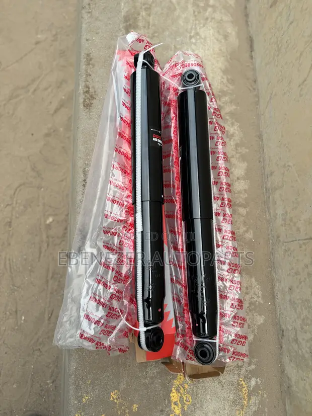 Ford F-150 Rear Shocks (2018-2020) - 1