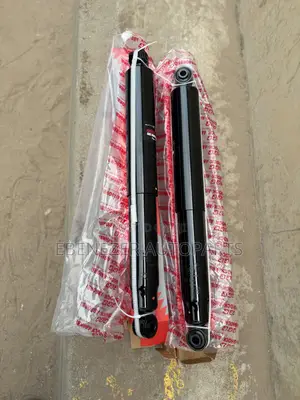 Ford F-150 Rear Shocks (2018-2020)