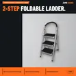 Tera 2-Step Foldable Steel Ladder - Black - 1