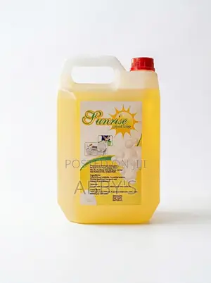 Household Liquid Soap/Detergent - 4.5L Gallon