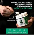 Creatine Monohydrate Powder | 30 Servings | Maximum Performance - 2