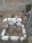 Biodigester Installation & Repair Services - 1