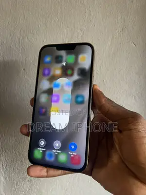 Apple iPhone 13 Pro Max 256GB Gold