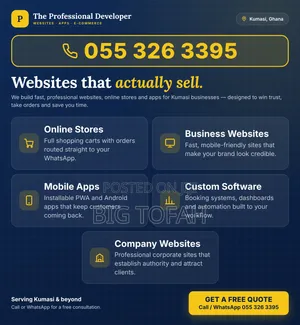 Professional Web Developer Services