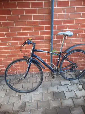 Used Blue Mountain Bike - 14" Wheels