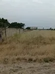 14 Acres Land for Sale After Central University, Dawenya - 1