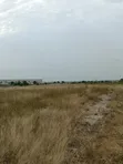 14 Acres Land for Sale After Central University, Dawenya - 3