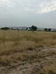 14 Acres Land for Sale After Central University, Dawenya - 5