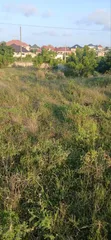 Registered Residential Land for Sale in Bawjiase - 2