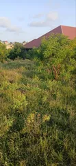 Registered Residential Land for Sale in Bawjiase - 3