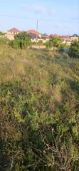 Registered Residential Land for Sale in Bawjiase - 4