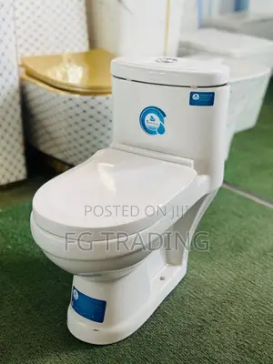 Brand New One-Piece Water Closet