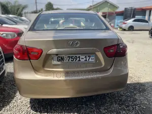 Hyundai Elantra 2.0 2009 Gold