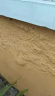 Dampness Treatment Service - 3