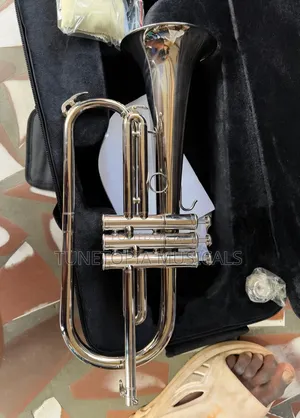 Titanic USA YFH-631GS Bb Flugelhorn