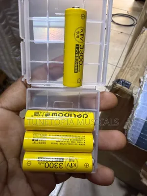 Doublepow KTV 3300mAh Ni-MH AA Rechargeable Battery