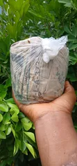 Traditional African Black Soap - 1