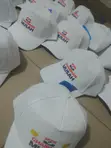 NPP Branded Campaign Caps - 1
