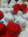 NPP Branded Campaign Caps - 3