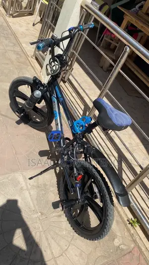 BMX Stunt Bike - 20-inch Mag Wheels