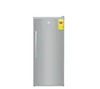 Nasco 150L Upright Freezer NASD1-225FL - 1
