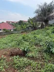 2.5 Plots for Sale at Aburi Jamacaso - 1