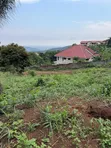 2.5 Plots for Sale at Aburi Jamacaso - 2