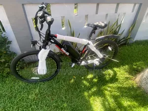 Gocio Adult Mountain E-Bike