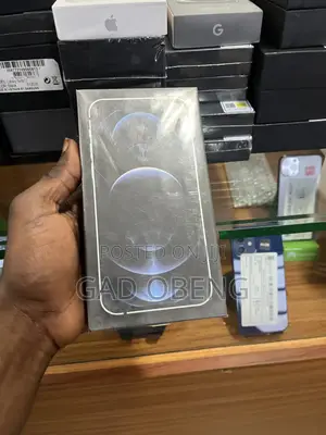 New Apple iPhone 12 Pro Max 256GB Silver