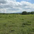 Residential Land for Sale in Prampram - 1