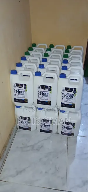 Floor Cleaner with Anti-Bacterial Properties