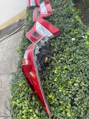 Honda Accord Taillight (2018-2022)