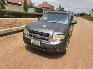 Ford Escape XLT 4WD V6 2009 Gray
