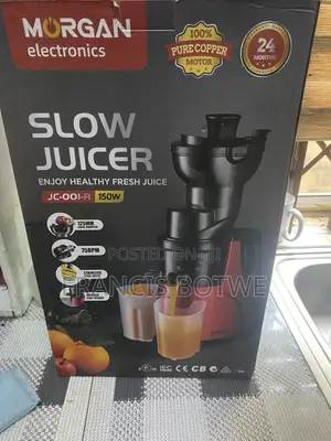 Kenwood Fruit Juicer Machine (Used)