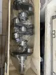 Brand New 4D56T Engine Crankshaft - 2