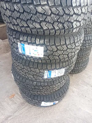 265/65R17 Sailun Tires