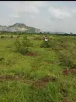 Land for Sale in Prampram, Greater Accra - 2