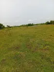 Residential Land for Sale - Prampram, Greater Accra - 2