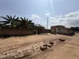 2 Plots of Titled Land for Sale near DVLA, Bohye - 4